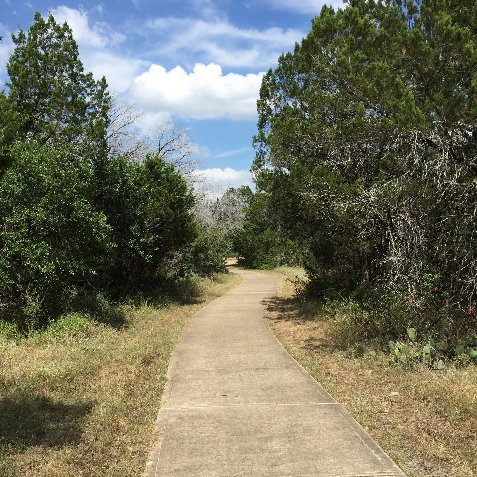 Mansfield Dam Park